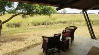 Jumbo Junction Hotels in der Nähe von Selinda Game Reserve (Private) NG/16