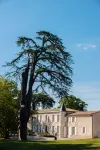 Chateau Sénailhac Hotels in Montussan