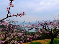 千岛湖仟陌间山野度假民宿 - 酒店附近