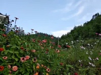 Youyuanshanzhuang - Inns