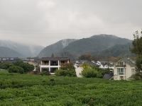 杭州青梵和溪小院 - 茶景竹林大床房-相悦