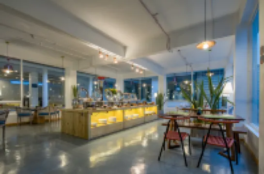 溪田·悦上   |   Alice  in  Wonderland · 愛麗絲夢遊仙境·客棧