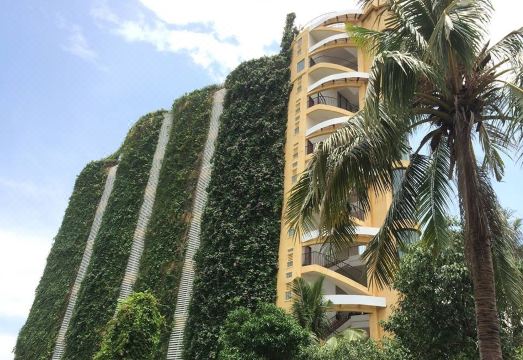 Picture of Sea Side Penthouse | Apartment in kralendijk - Rent By Owner