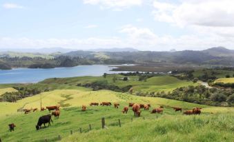 Coromandel Court Motel