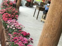 青城山龙翔饭店 - 花园