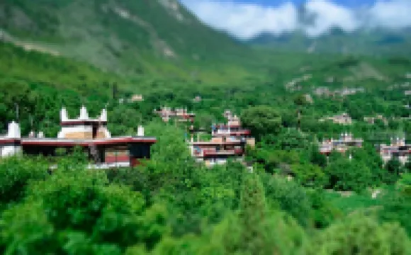 Zangjia Jiedai Brother Guest House