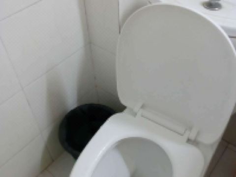 平阳新纪元宾馆 - 普通标间