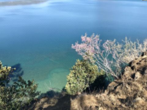 泸沽湖达尔文舍 - 酒店景观
