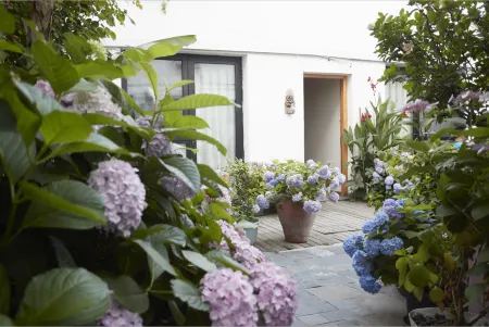 Chujian xitang Boutique Inn