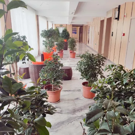 Tibet Ali Hotel