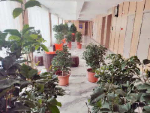 チベット自治区ガリホテル のホテル