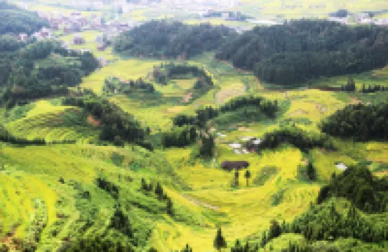 新化雄華寨農家樂