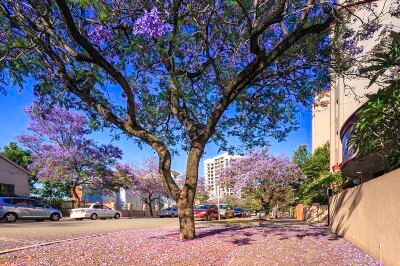 ホテル周辺 クラウンプラザ パースの写真