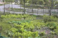 Xinning Yinxing Mountain Villa