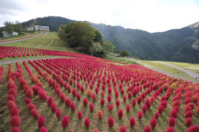 ホテル周辺 越後湯沢温泉 露天大岩風呂の宿 湯沢東映ホテルの写真