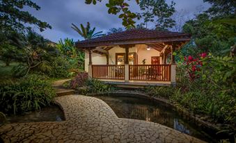 a small house with a red roof , surrounded by lush greenery and a small pond at Sleeping Giant Rainforest Lodge