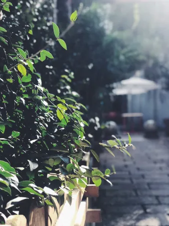 Guiyang Seven Garden - Spring Hotel (Fountain Metro Station Taiping Road Netflix Street Shop) Отели рядом с достопримечательностью «Qianling Mountain Zoo»