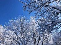 雪谷雪缘驿站 - 花园