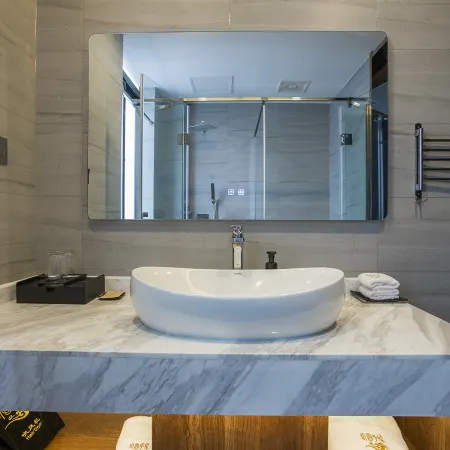 Wanqing Zhenyuan Hotel