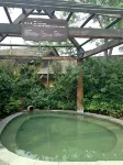 Tuanbo Lake Hotspring Resorts & Spa - Pemandian Air Panas