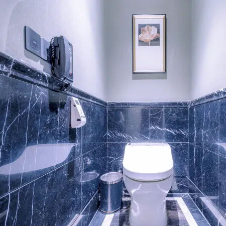 Wharfe Hotel Отели в г. Чанде