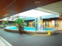 襄阳东方夏威夷假日酒店 - 室内游泳池
