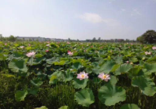 bodaofeng Lingyun mountain villa