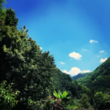 Feilong Villa Farmhouse