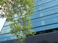 Sonnien Hotel Hotels near Daan District