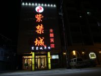 阜南紫禁城主题宾馆 - 酒店外部