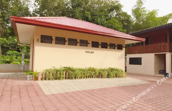 婆羅洲樹屋酒店