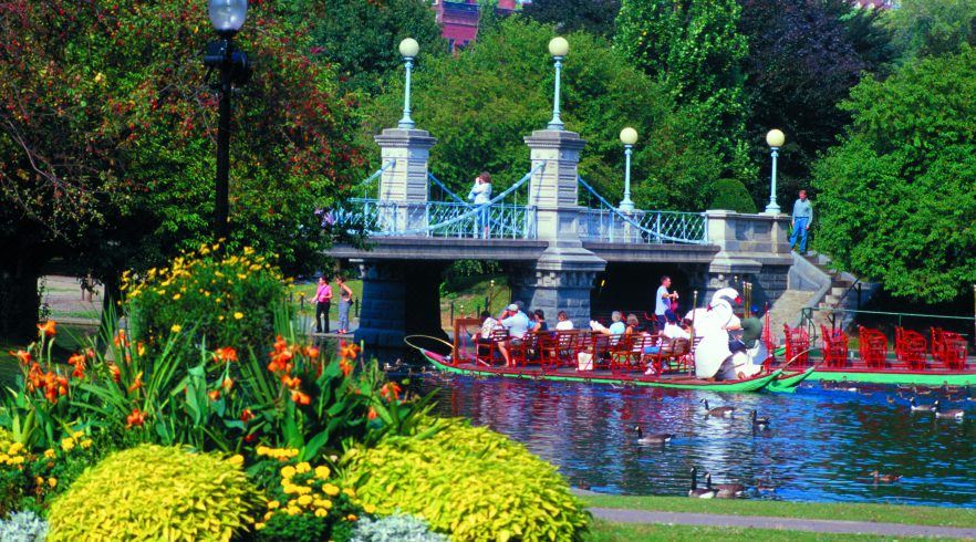 디 인 앳 롱우드 메디컬