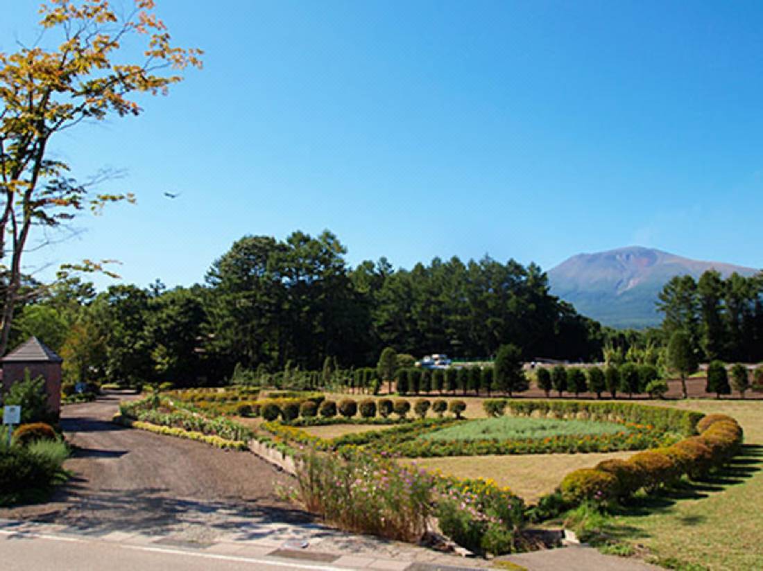 ホテルバーモラル軽井沢 軽井沢 を宿泊予約 22年安い料金プラン 口コミ 部屋写真 Trip Com