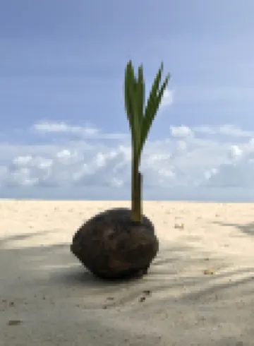 Lvis Blancura Hotel Hotel di Dharavandhoo Island