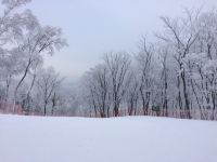 万科松花湖青山Jenny雪景公寓 - 酒店附近