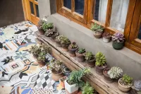 古槐里民宿(西安鐘鼓楼広場明城壁) チョコチョコ・チョコレート博物館(西安大唐不夜城館)周辺のホテル