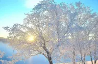 Zuimei Muxuege (Xuexiang Scenic Area)