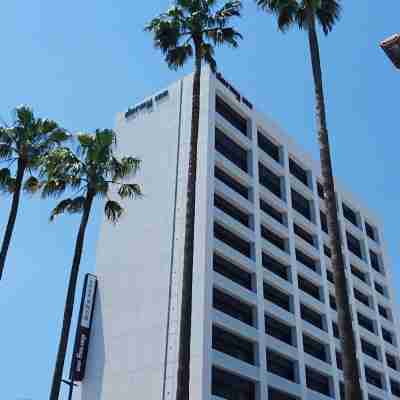 Dormy Inn宮崎天然温泉酒店 Hotel Exterior