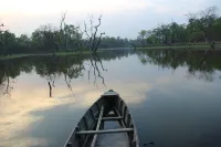 Jungle Sunset Camp