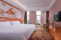 Vienna Hotel (Wuhan Moshui Lake) - Bintang 3