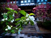 大同文瀛饭店 - 酒店外部