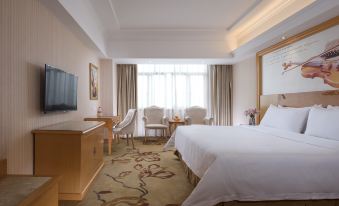 Vienna Hotel (Qidong New Area)