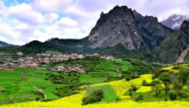 스타 뷰 호텔 (자가나 관광지점)