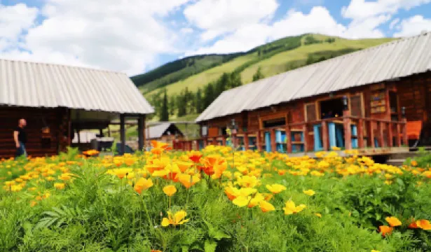 喀納斯泰加民宿 カナス川周辺のホテル