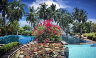 a large pool surrounded by palm trees , with a fountain in the middle of the pool at Janji Laut Resort