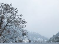 莫干山思颜旅舍 - 酒店景观