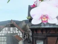 Trattoria & Apartments - Casa da Enzo Hotels in Goslar