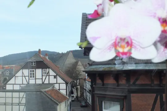 Trattoria & Apartments - Casa da Enzo