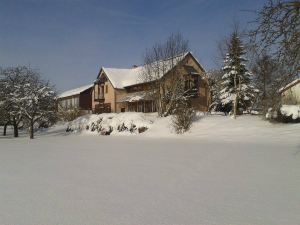 Landgasthof/Hotel Hirsch im Grunen