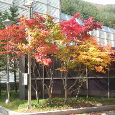 메이힐스 리조트 Hotel Exterior